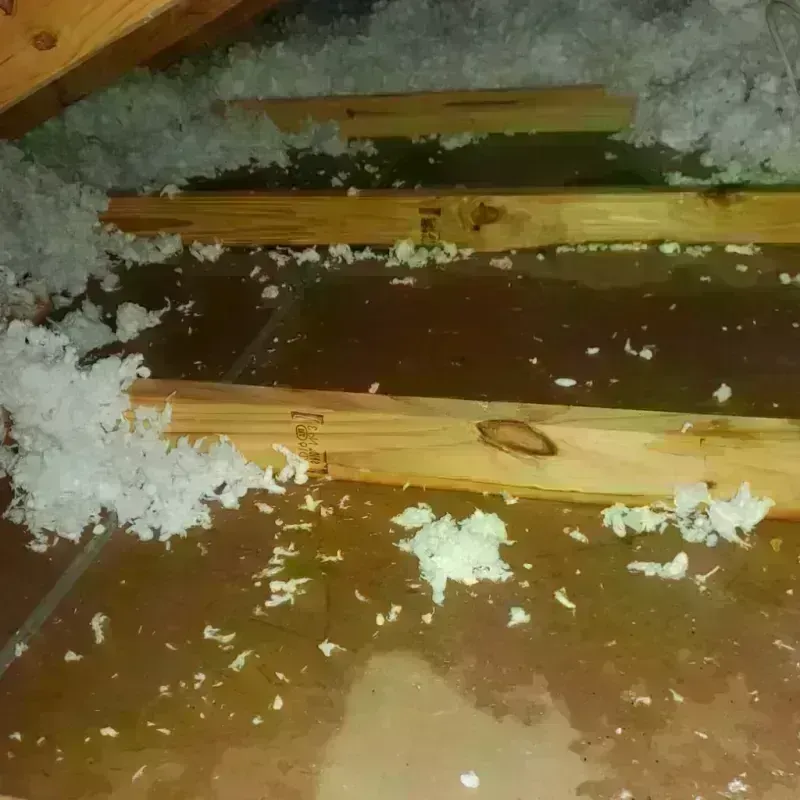 Attic Water Damage in Hardin, IL