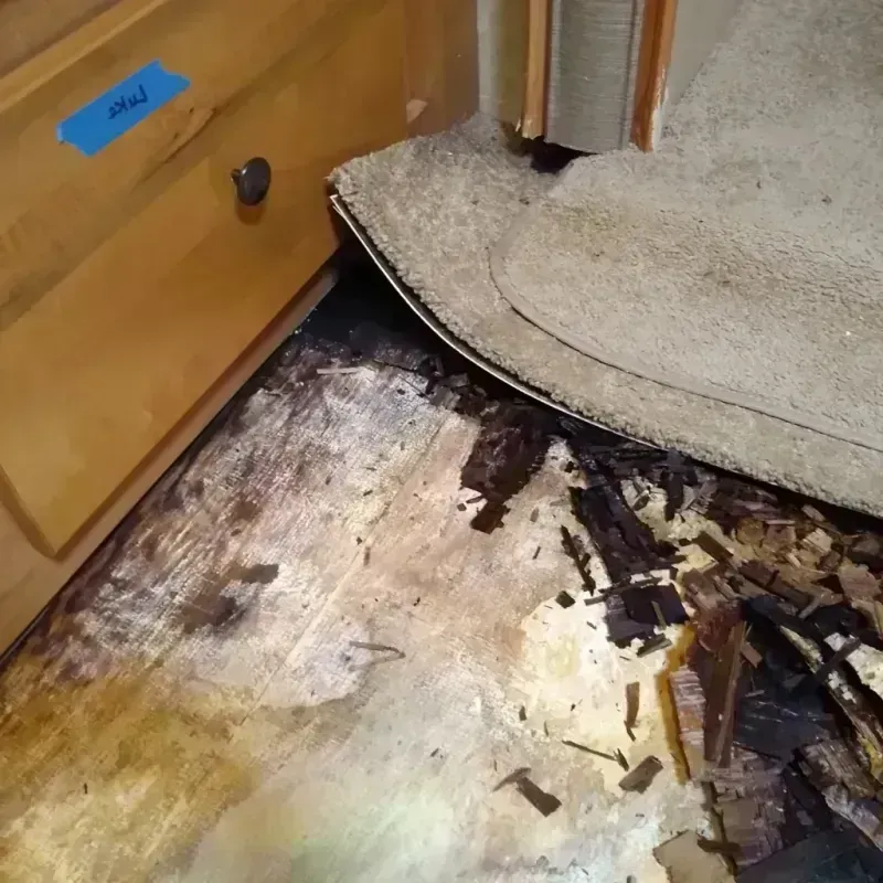 Wood Floor Water Damage in Hardin, IL